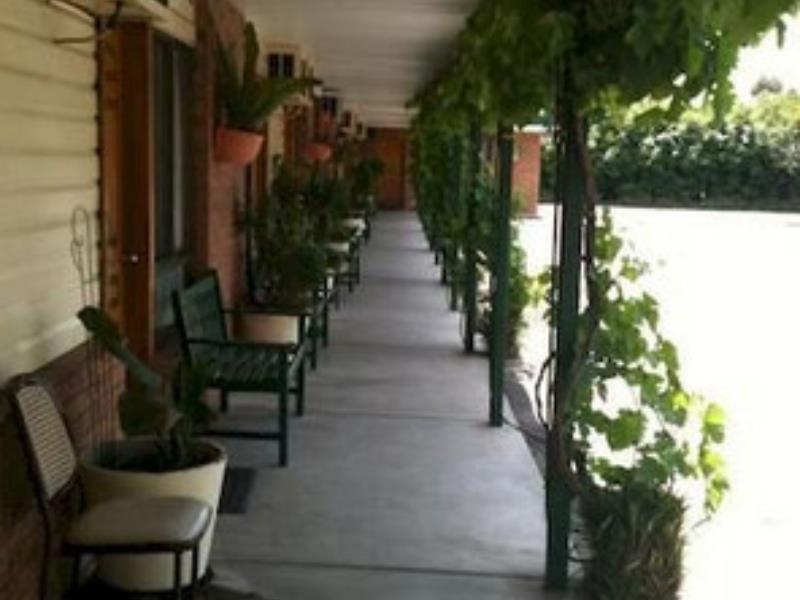 The Wayfarer Motel Muswellbrook Eksteriør bilde
